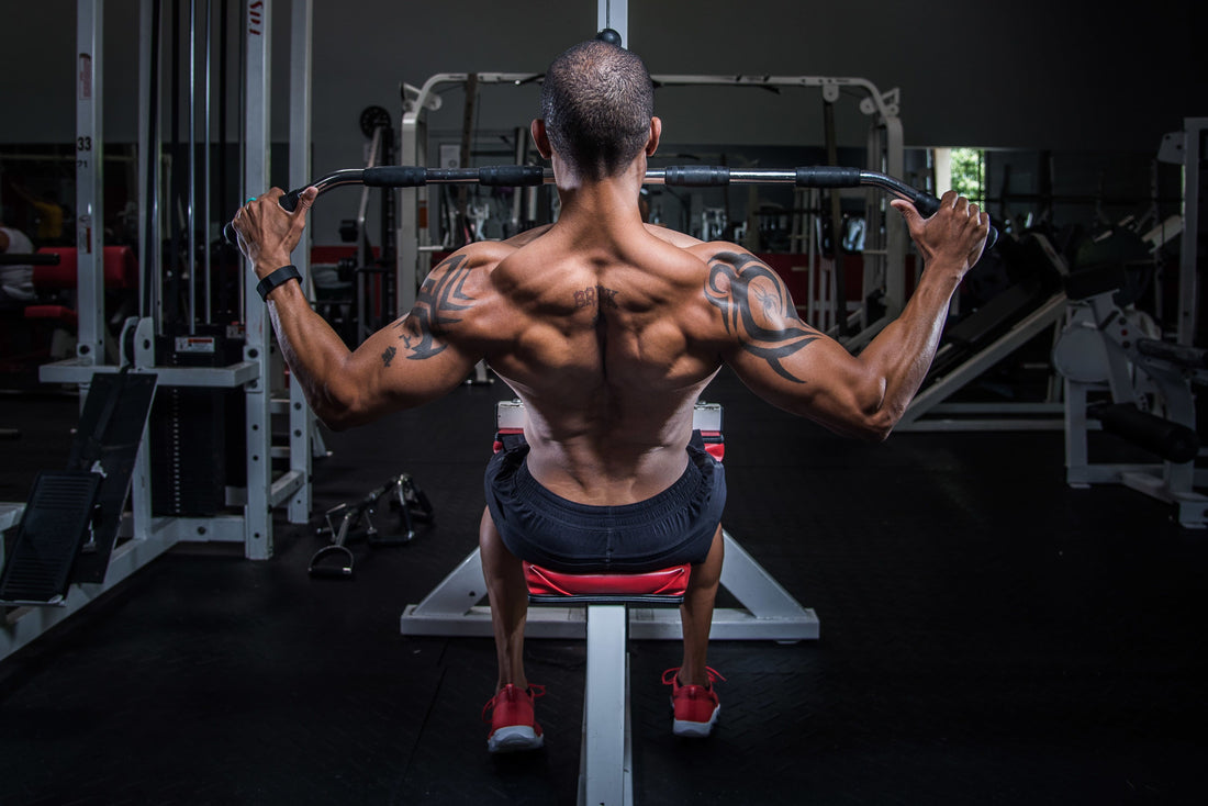 Workout Plan